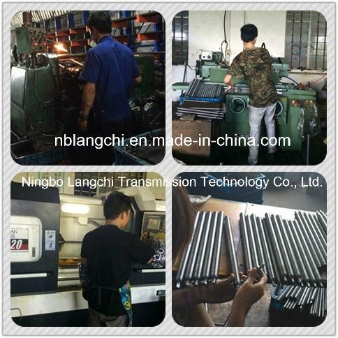 Stainless Steel Worm Endless Screw