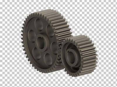 OEM/ODM Transmission Steel Spur Worm Gear