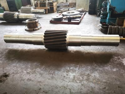 Big Spline Worm Gear Shaft on Conveyor