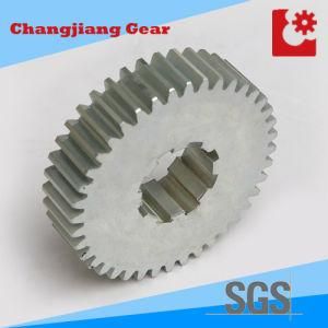 OEM All Sorts of Color Painting Spur Gears