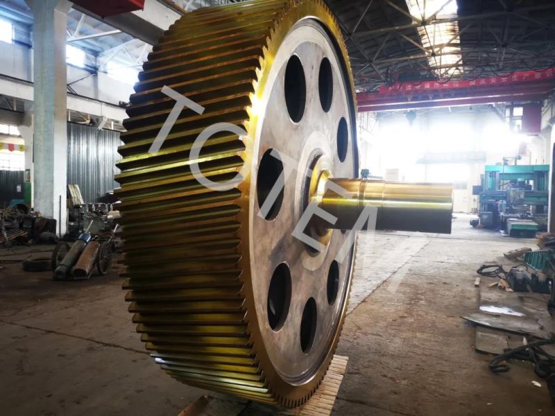 Totem Casting Gear Wheel, Grinded Helical Gear Pinion