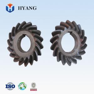 China Factory Custom Nonstandard Spur Gear and Bevel Gear