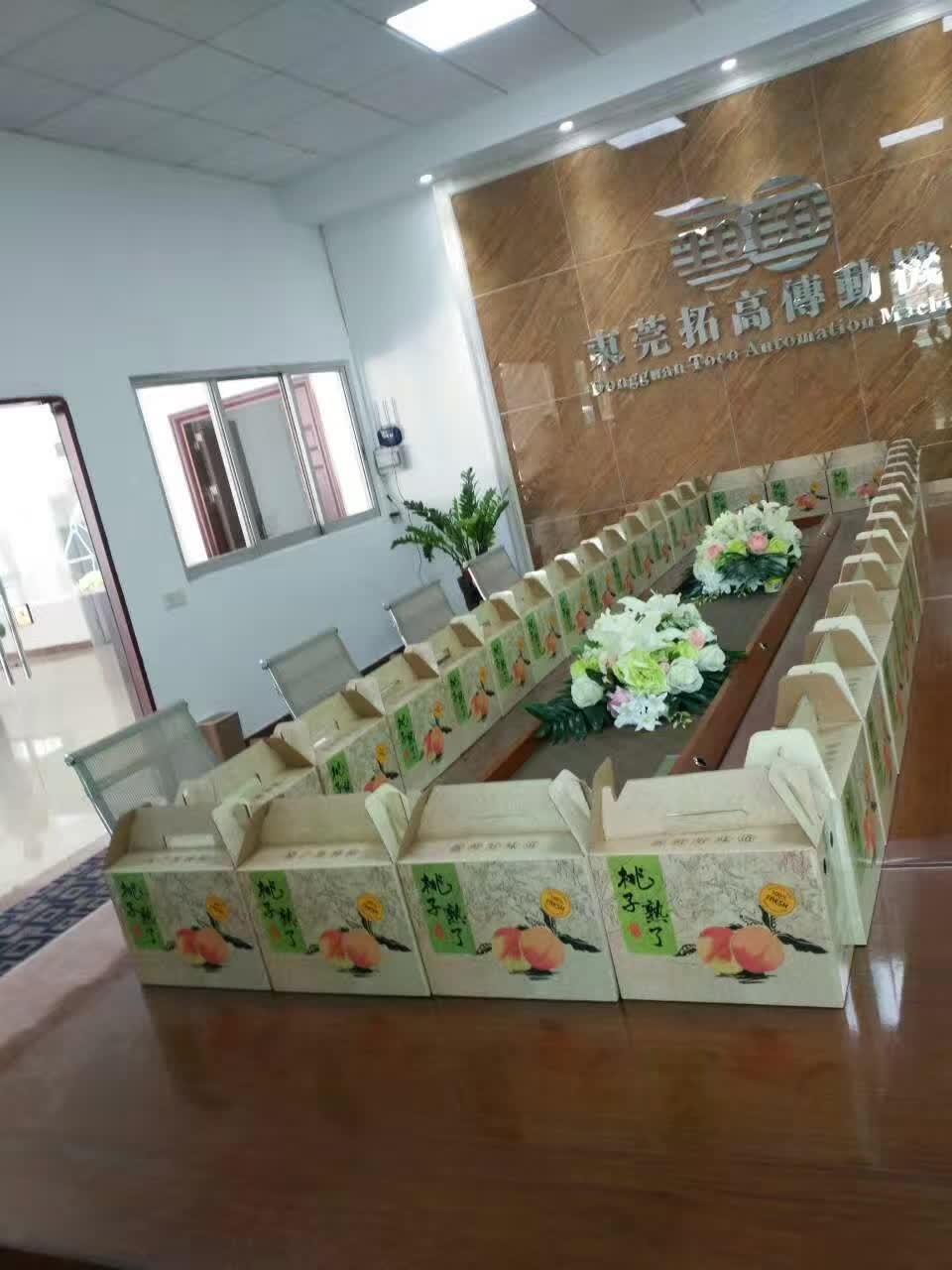Toco Motion Hgw25 CPC Rail Motion Linear Guide