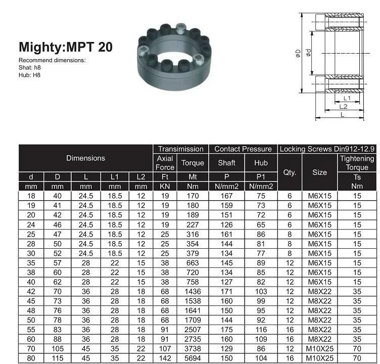 Rlk200 Self-Centering Locking Device Locking Assembly Locking Hub Shaft Power Lock Z2 Model