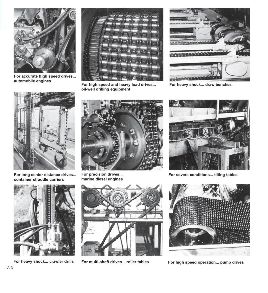 04B-48B Steel/ Stainless Roller Chains