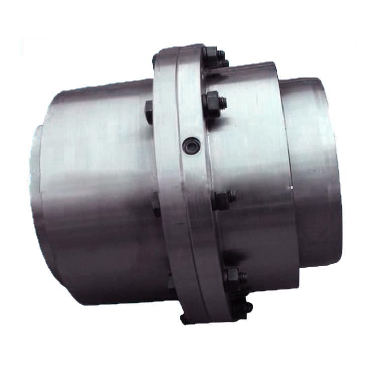 Ngclz Coupling for Hoisting and Transport