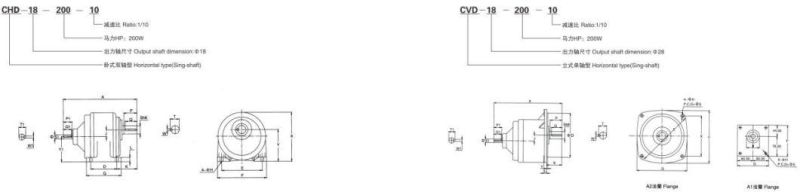 Professional Speed Reducer Aluminum alloy Precision Gear Motor