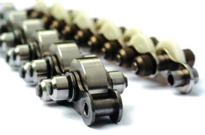 Transmission Conveyor Roller Chains with Outboard Rollers 40s2-Sr 50sf1-C 60s2-C 100s2
