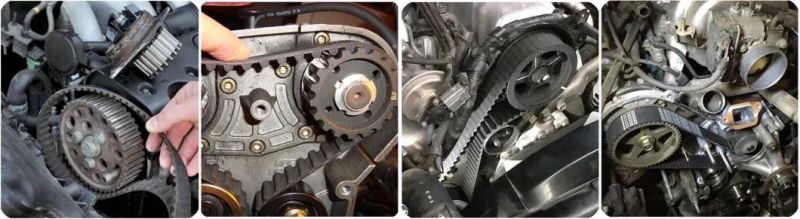 Auto Parts Engine Timing Belt for Ranger 2010 Wl Wl01 12205 a