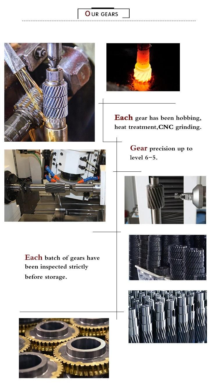 Translating Worm Ball Worm Screw Jack