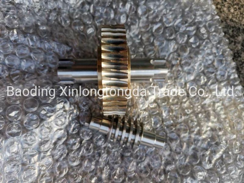 OEM Metal Parts Manufacturer Machinery Gear Worm and Shaft