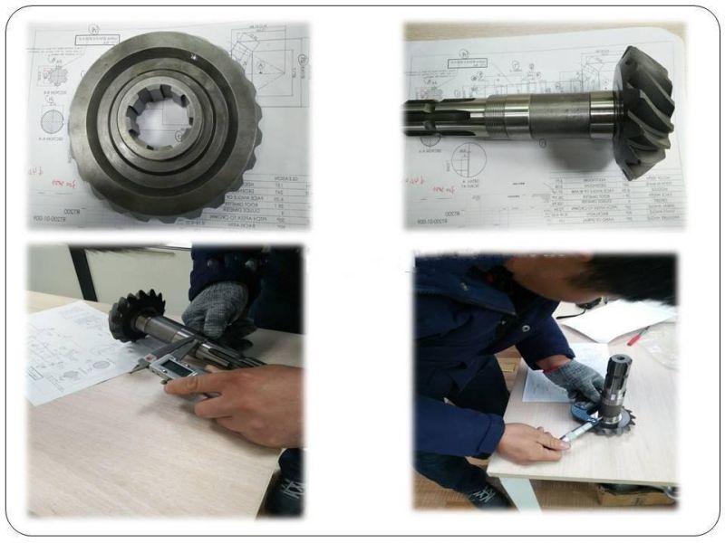 OEM Machine Spur Gear of Gear Motor