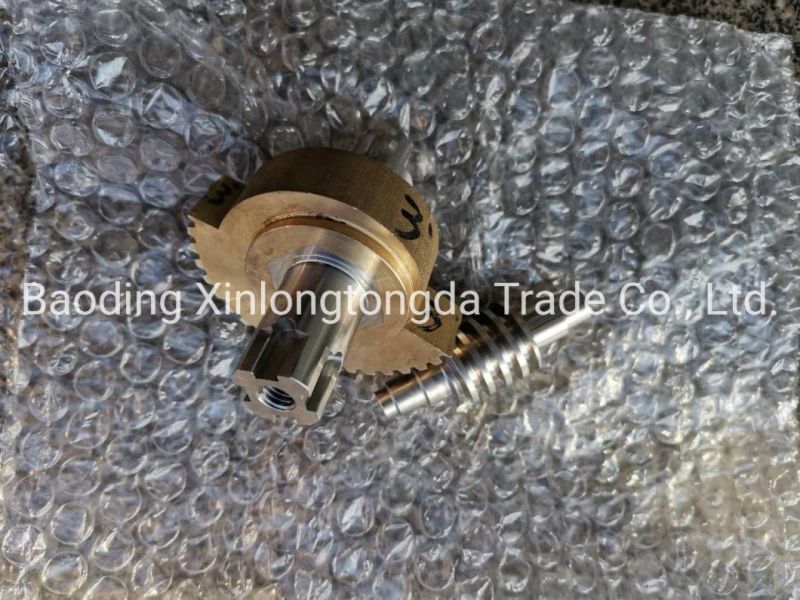 OEM Metal Parts Manufacturer Machinery Gear Worm and Shaft