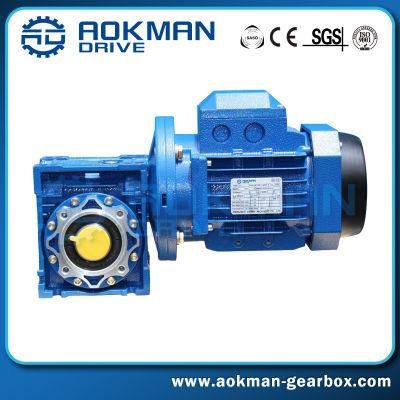 RV Series AC DC Motor with Right Angle Worm Gearbox