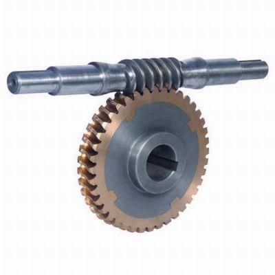 OEM/ODM Precision Turning Milling Stainless Steel Worm Shaft and Worm Gear