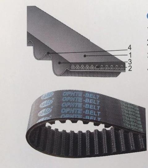 Oft Industrial Timing Belt, Synchronous Belt, Imported Cr Material