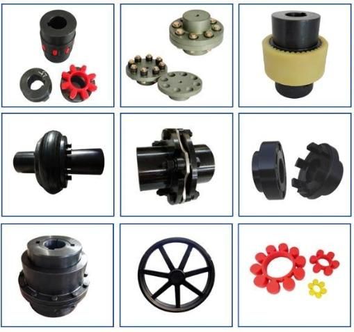 Metal Bellows Coupling Flexible Shaft Coupling