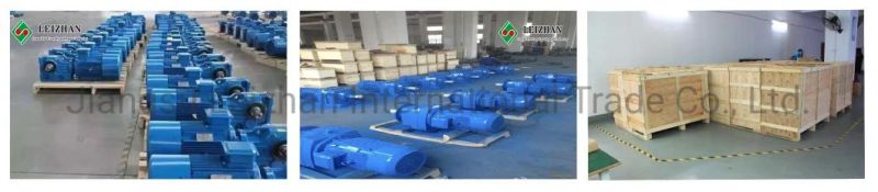 Spiral Worm Gearbox for Paper Pulp