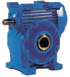 Coa Worm Gear Reducer Gearbox Transmission with Hollow Shaft