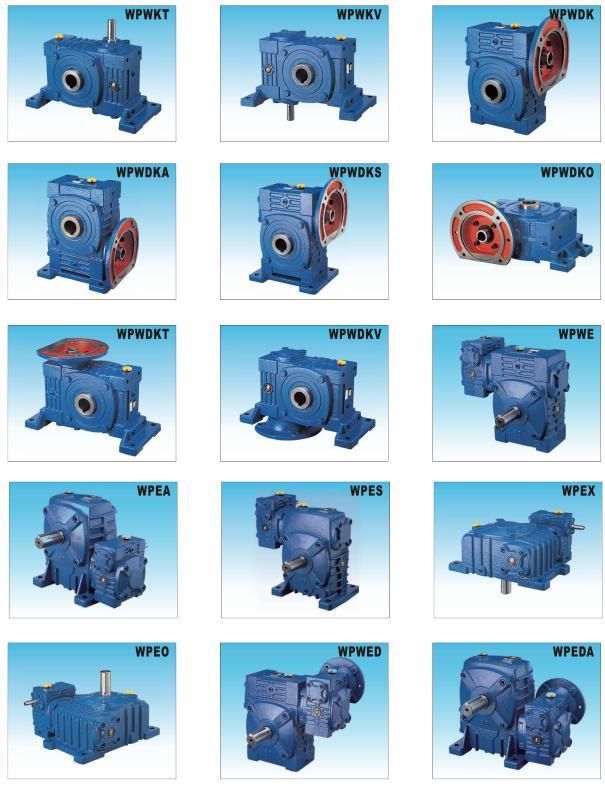 Gearbox Wp Series Wpwt Wpwv Speed Reducer