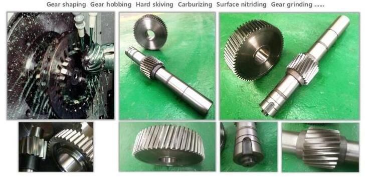 Double Enveloping Bronze Worm Gear and Steel Shaft
