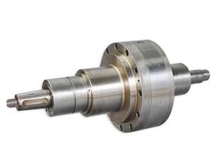 Bc33L Series of Cycloid Gearbox