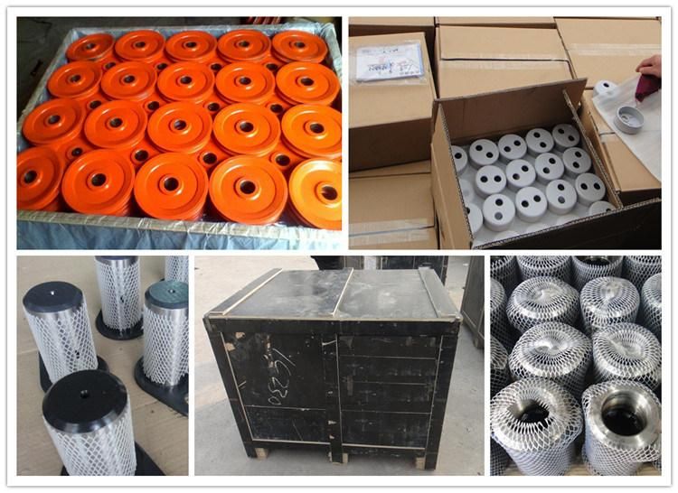 OEM Customized Forging with Machining Stainless Steel Spur Gear