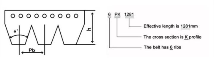 Pk Belt Poly V Belt Ribbed Multi Rib Rubber Belt EPDM Cr