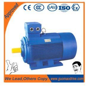 Big and Medium Size Induction Asynchronous AC High Voltage Electric Motor