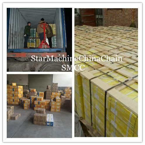 Transmission Belt Gearbox Parts General Duty Conveyor Non-Standard Double Row Overhead Roller Chain