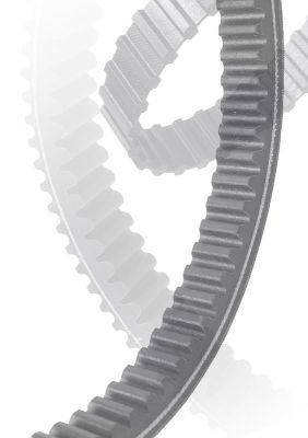 Cogged V Belt/ Tooth Belt/V Belt /Transmission Belt/Narrow V Belt