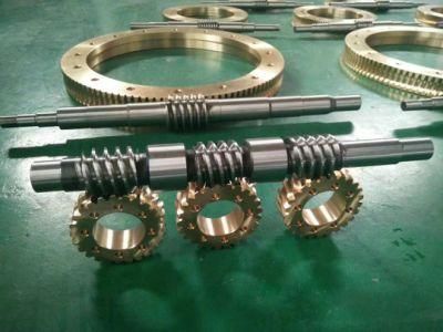Industrial Components Worm Shaft Gear for Auto Part CNC Machining/Milling/Hobbing/Turning