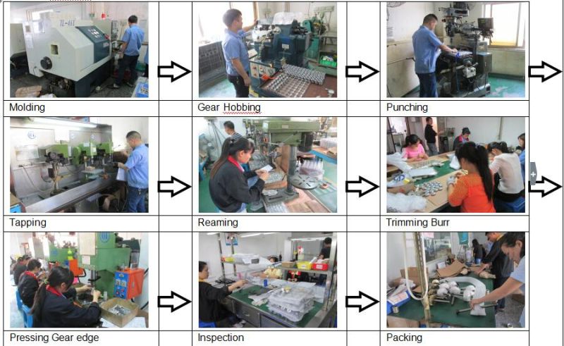 Timing Gear Manufacture by Shenzhen