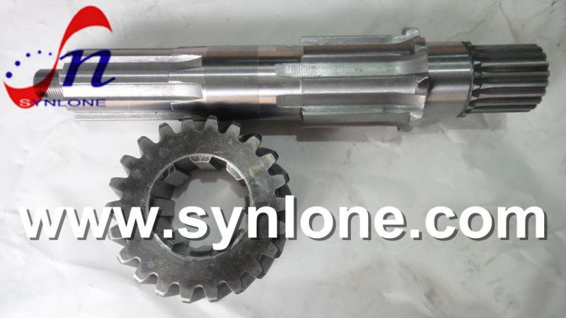 OEM Foundry Customzied Worm Gear and Worm Shaft for Gearbox