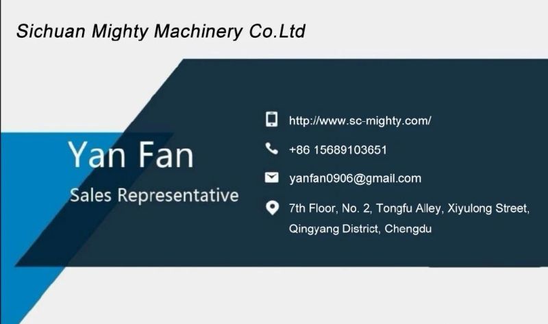 Mighty Stainless Steel Easy to Connect and Disconnect Roller Chain Coupling