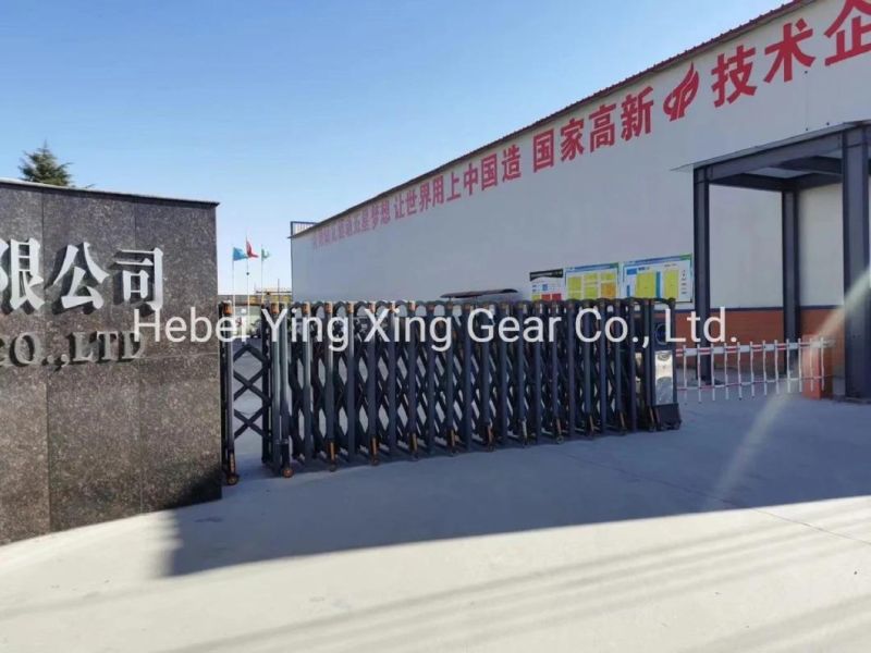 Customized Gear Module 6 and 23 Teeth for Drilling Machine/ Pile-Driver Tower