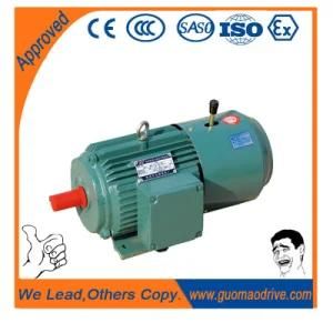 High Torque Low Rpm AC Induction Electric Motor Manufacturer Directory