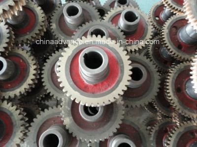 Gearbox Reducer Spare Parts