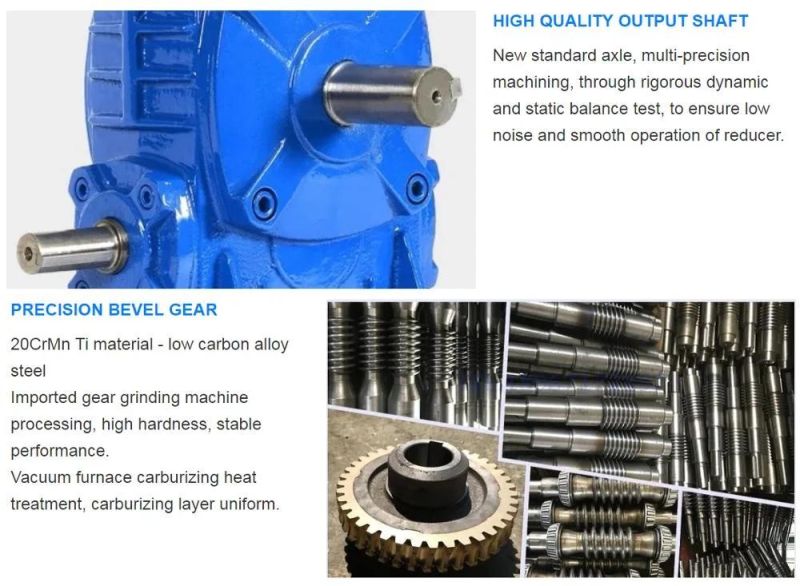 Wp Series 1: 10 1: 20 Ratio Speed Reducer Worm Gearbox