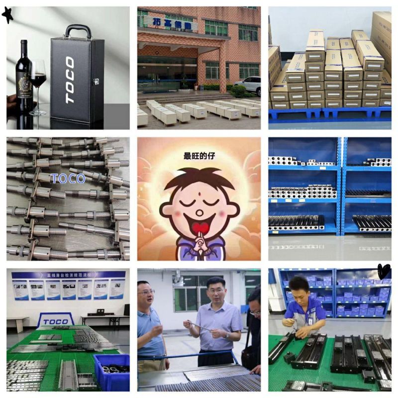 Linear Guide Rail Block Bearing Guide Carriage for Packaging Machine