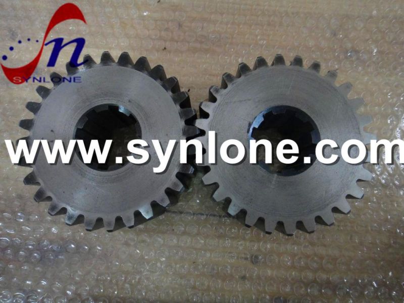 OEM Precision Stainless Steel/Brass/Aluminum Worm Gear