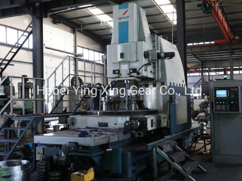 Customized Gear Module 10 for Drilling Machine/ Reducer/ Pile-Driver Tower/ Oil Machinery
