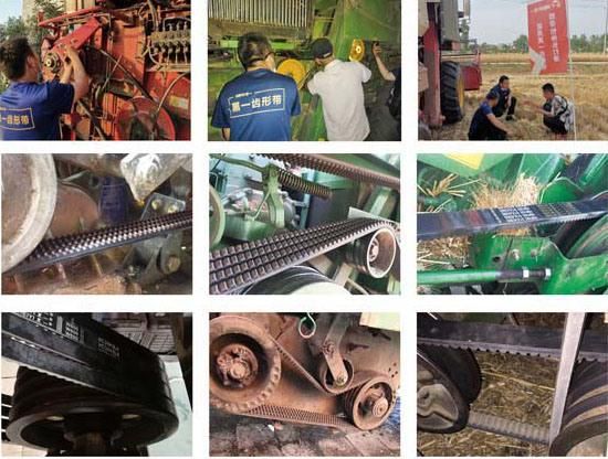 Multi Ribbed Poly-V Belts, Heavy-Duty Ribbed Belt, Industrial Machinery Rubber V Belt
