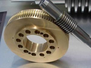 Superior Quality Worm Gear by CNC Machining