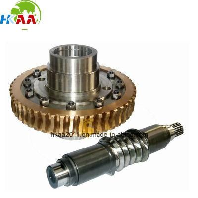 Precision Custom Stainless Steel/Brass Small Worm Gear