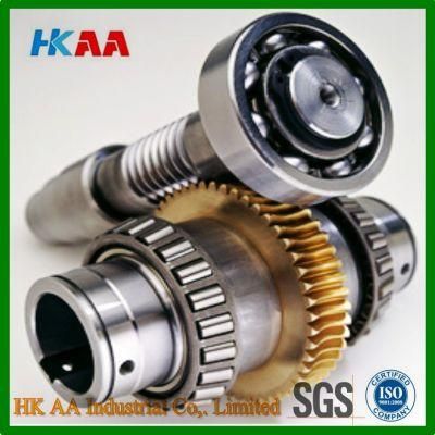 Worm Gear Reducer