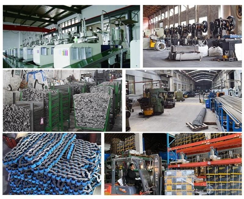 Triple Speed Chain with Steel Plate Nylon Roller Used in Conveyor Belt