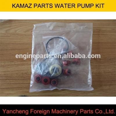 Supply Truck Parts Water Pump Kit 236-1307029A/Truck Engine Parts