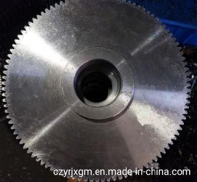 Customized Forging Large /Big Size/ Huge Steel Spur Gear