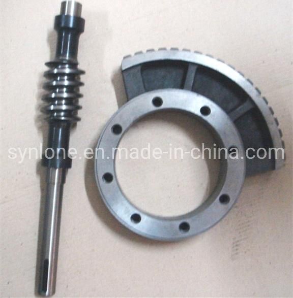 OEM Customized Stainless Steel Worm Wheel/Worm Shaft